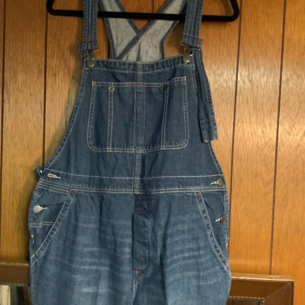Free People overalls